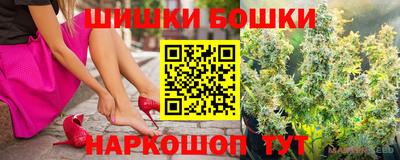 прущие грибы Лесосибирск