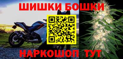 прущие грибы Лесосибирск