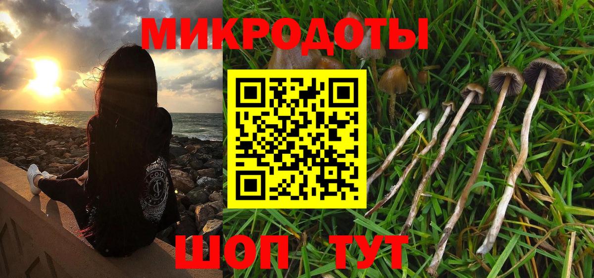 Псилоцибиновые грибы прущие грибы Азнакаево